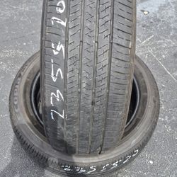 2x235  55 20  Bridgestone ECOPIA
