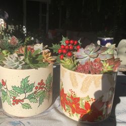 Christmas Succulent Pots