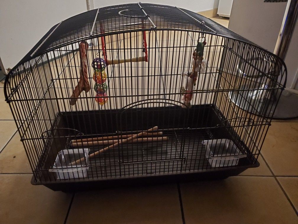 Bird Cage