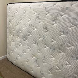 FREE Mattresses