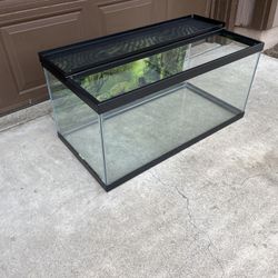 40 Gallon Aquarium