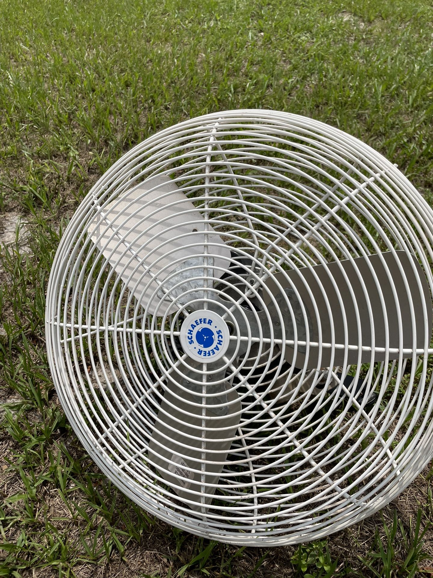 Schaefer Fan