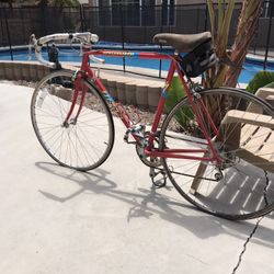 Specialized Road Bike 
