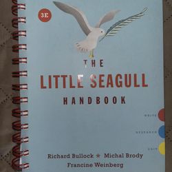 The Little Seagull