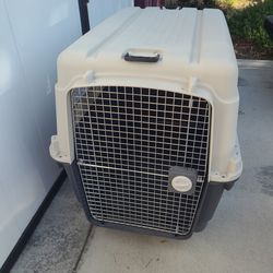 XL Dog Kennel