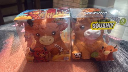 Highland cow