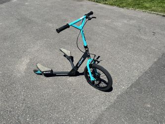 Tricycle Scooter