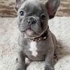 Victor 