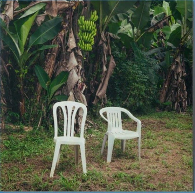 Bad Bunny - Debi Tirar Mas Fotos (2025 Gatefold 2 Blue Vinyls