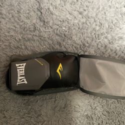 Everlast 16 Ounce Gloved