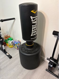 Everlast punching bag