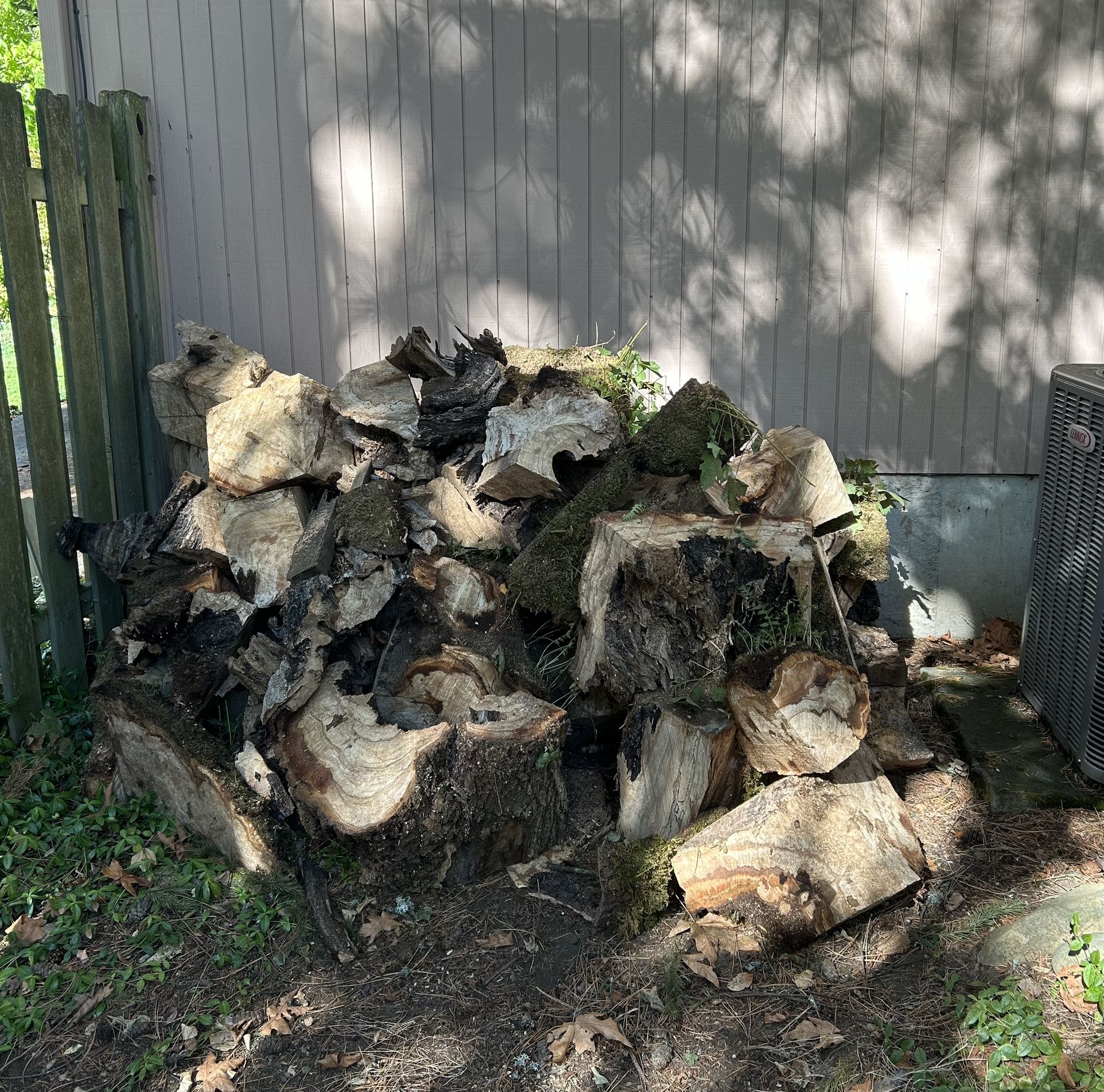 FIREWOOD