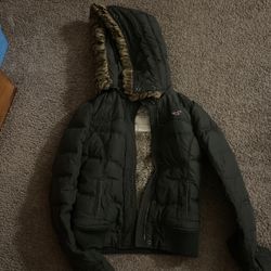 Hollister Jacket