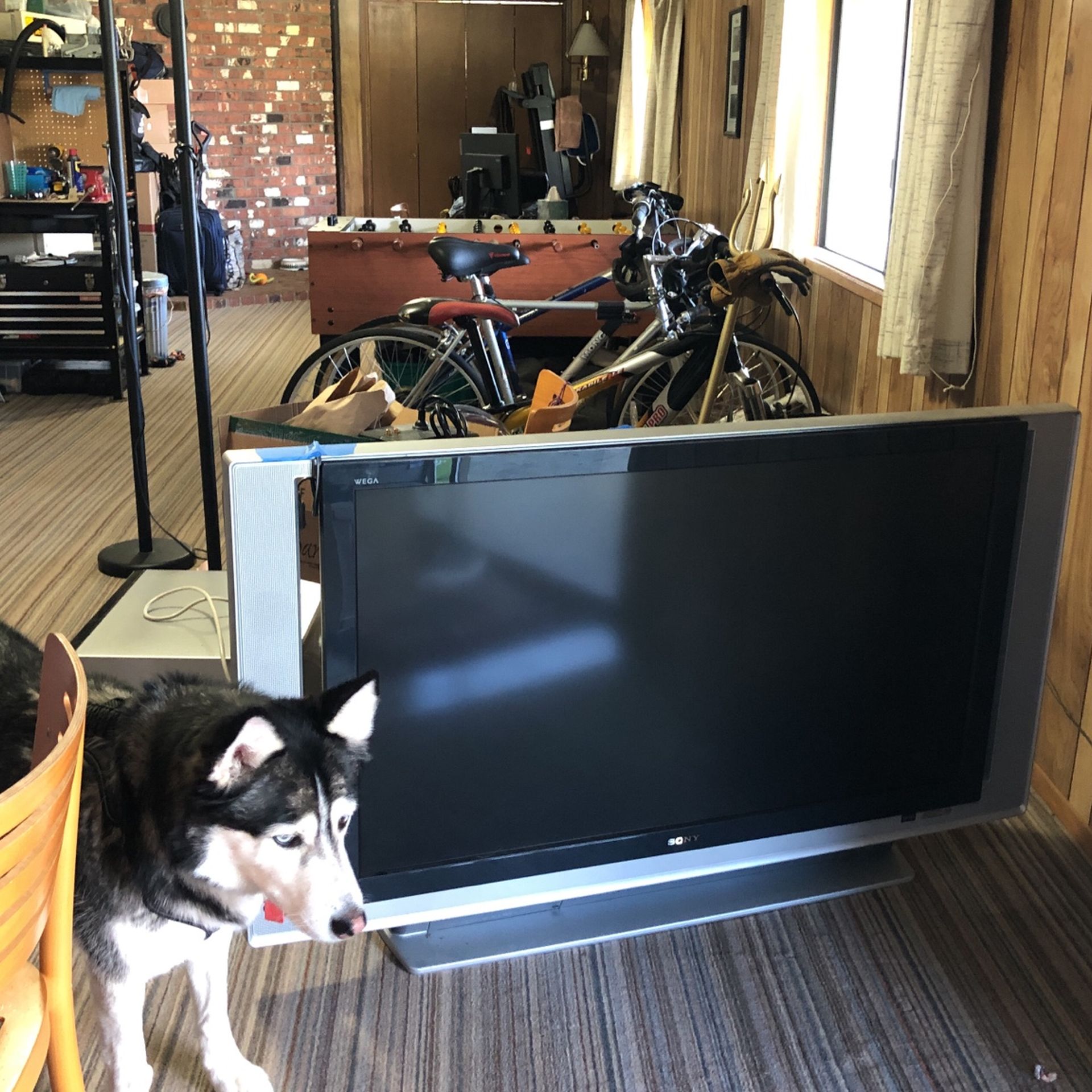 Sony 50 inch HD TV