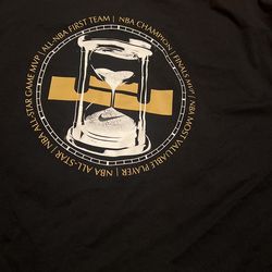 LeBron James Nike t Shirt
