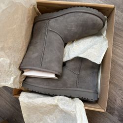 Gray Classic  Uggs 