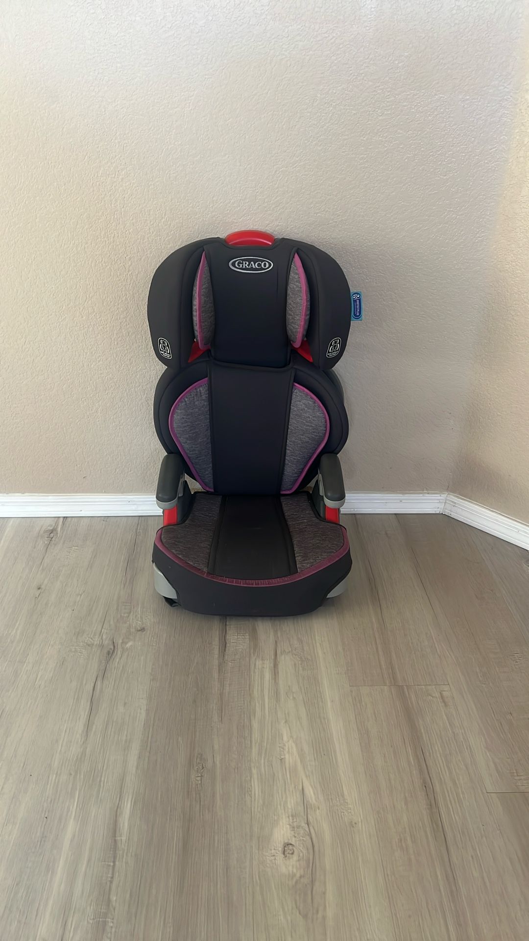 Graco Booster Seat