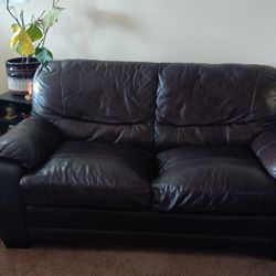 Free leather couches