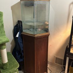 Fish Tank With Stand