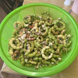 Guamúchiles A La Canta $8 La Libra. Perdonas Interesadas Por Favor 