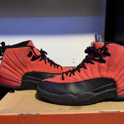 Reverse Flu Game Jordan 12 Size 11