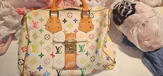 Louis Vuitton multicolored