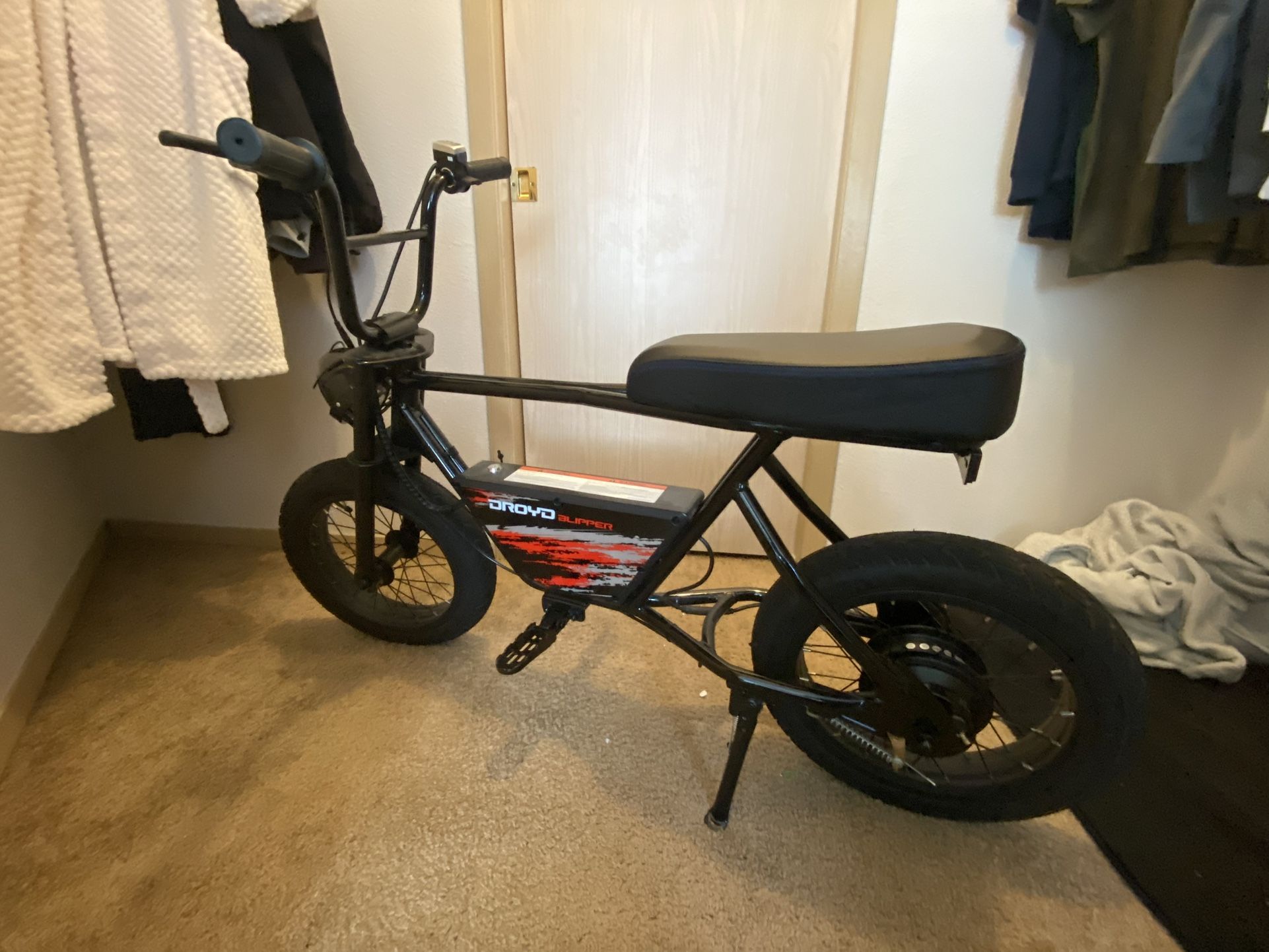 Kids Electric Bike