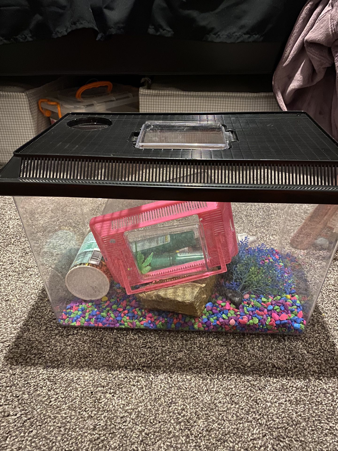 Turtle/Fish Tank (with Accessories)