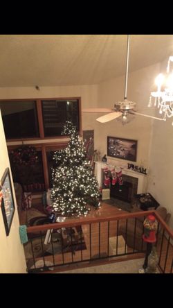 Brilliant Christmas Tree