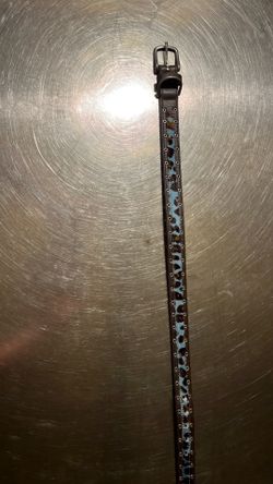 Dog collar, leather 20” never worn,new