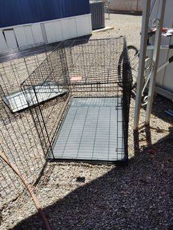 large dog kennel