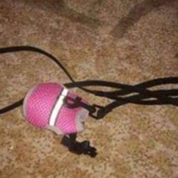 Small Animal Harness