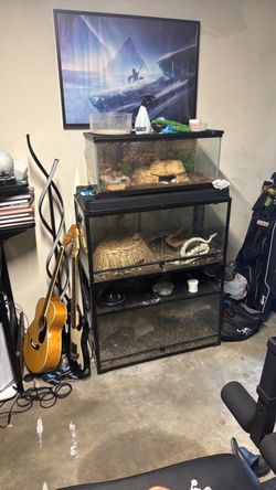 Animal tank