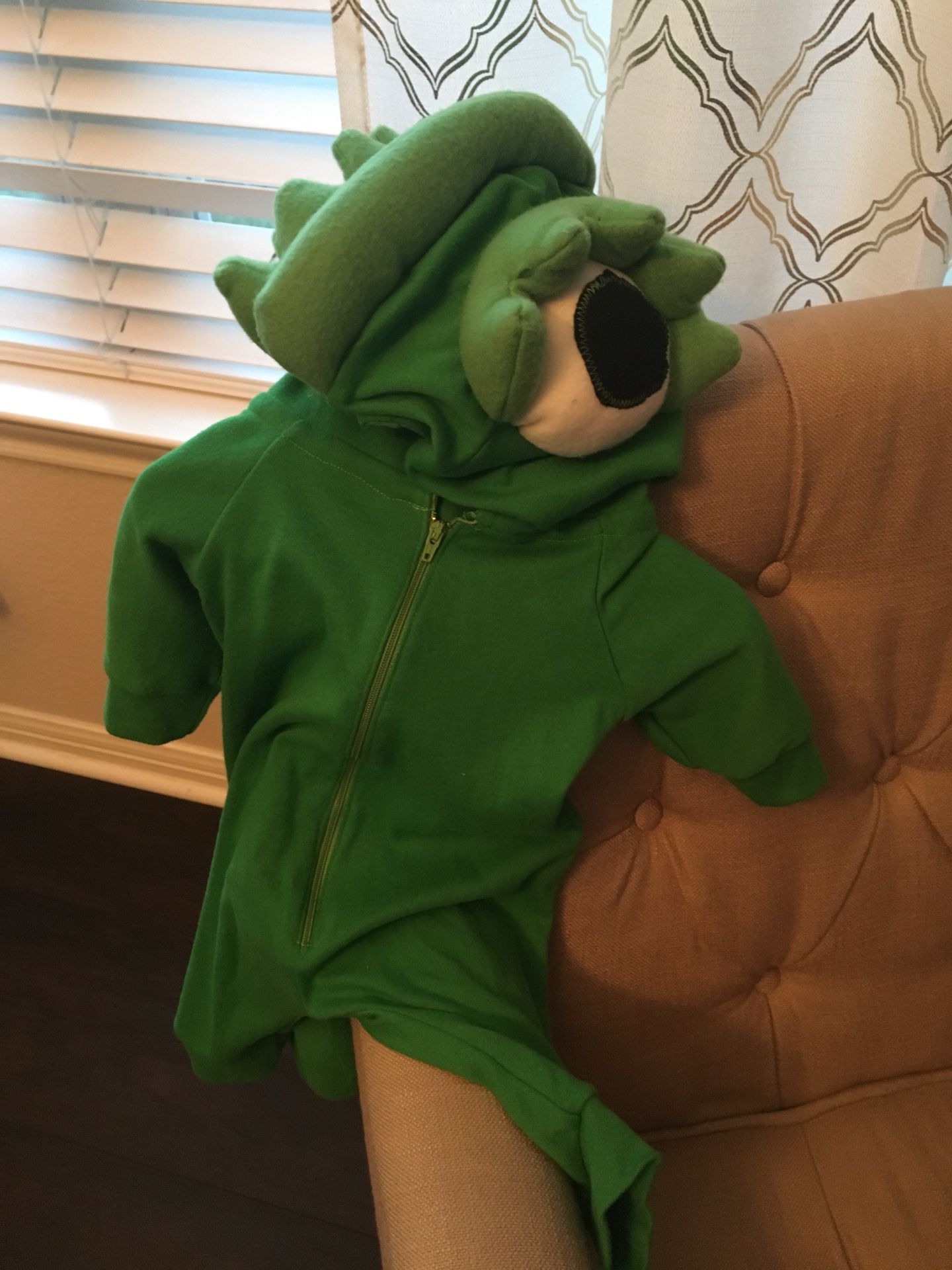 Custom 3-6 month Disney Pascal/Chameleon Costume