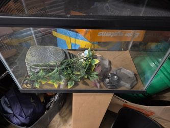 Reptile  Tank All Accessories  $75