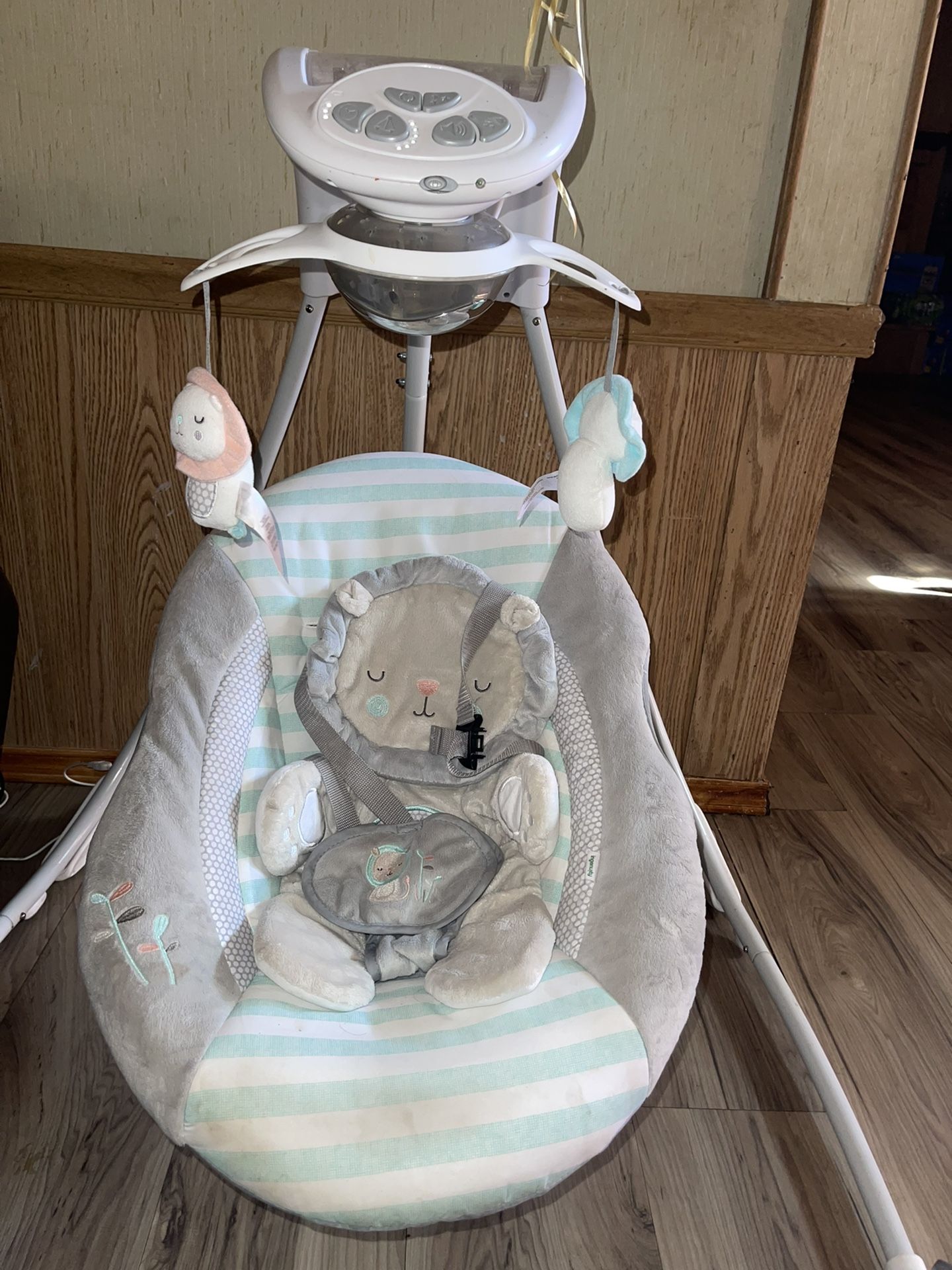 Baby Swing