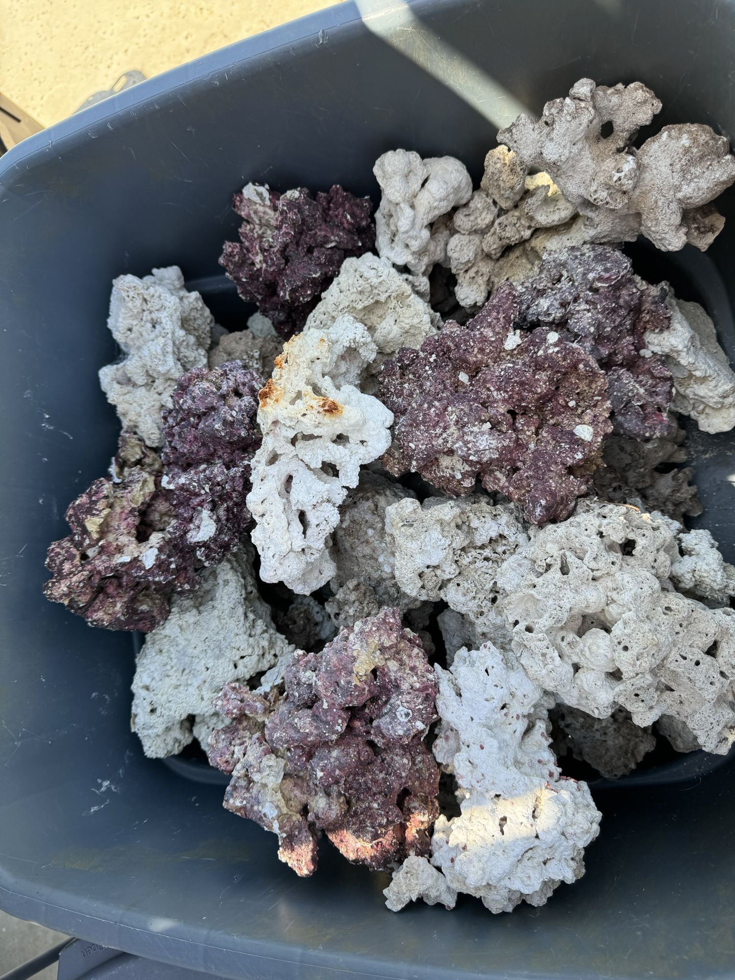 Aquarium Live Dry Rock / Purple Reef Rock