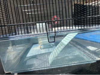Guinea pig/hamster cage