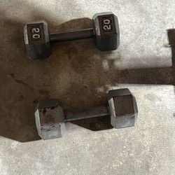20lbs Dumbbells
