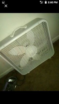 Fan