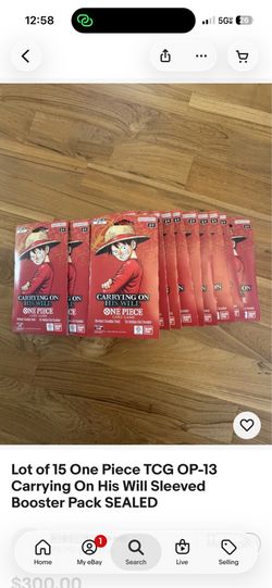 One Piece 13