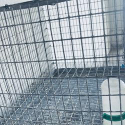 Cages For Birds, Rabbit, Dog….