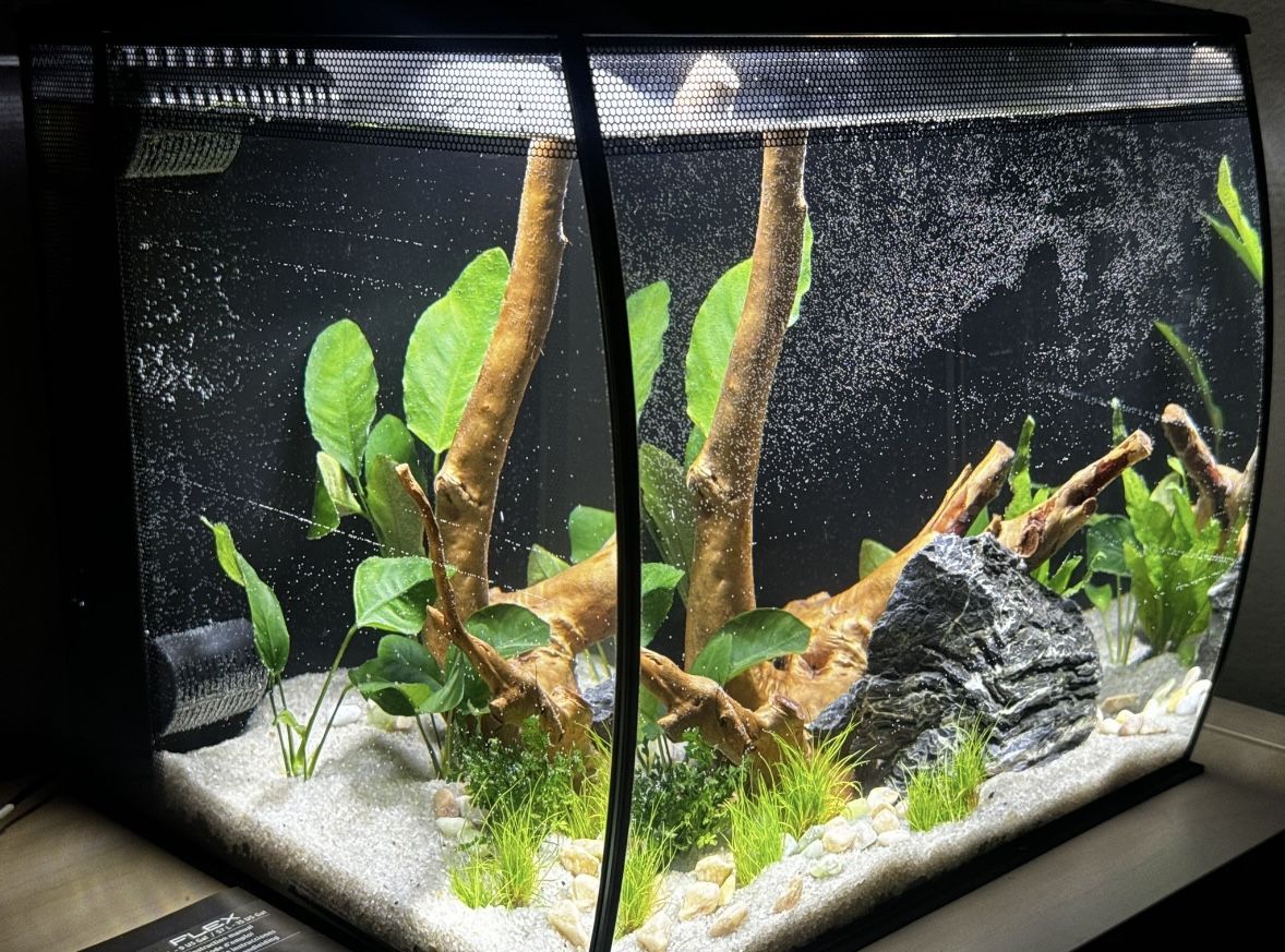 Fish Tank With Lights -Fluval Flex 9 Gal Aquarium - Black
