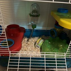 Hamster With Cage (Read Description)