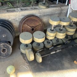 Weights (plates, Dumbbells, Curl bars)