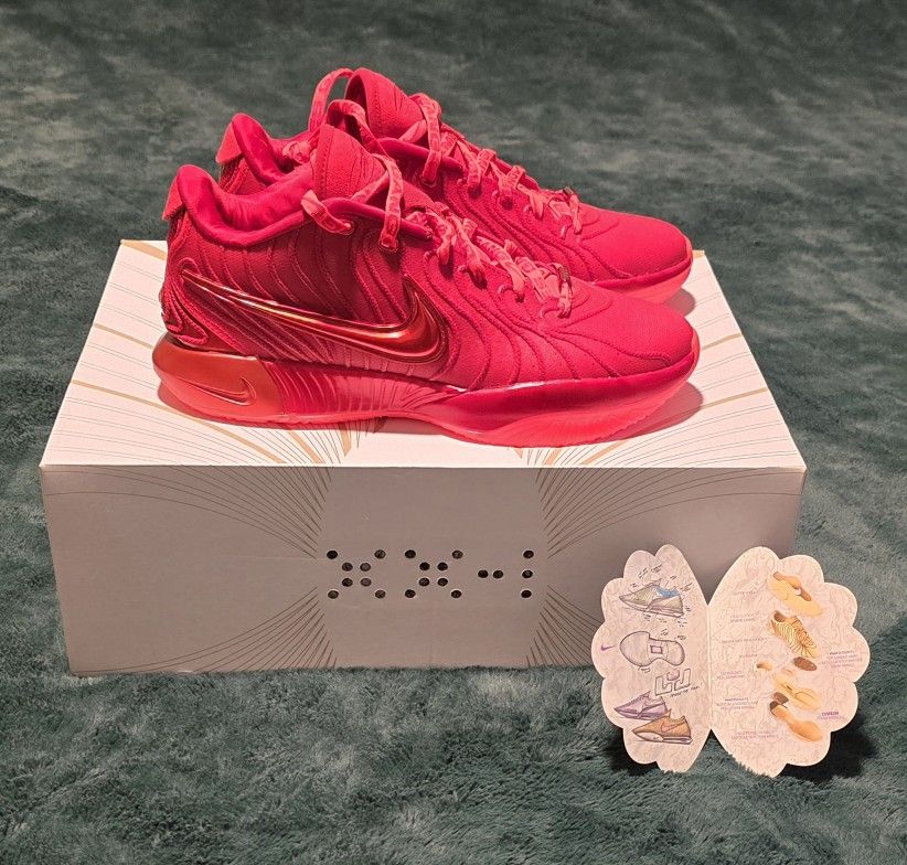 Nike Lebron James 21 "James Gang" HF5951-600 BRIGHT CRIMSON/GYM RED NEW SIZE 8.5 MENS