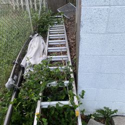 24 Foot Aluminum Ladder 