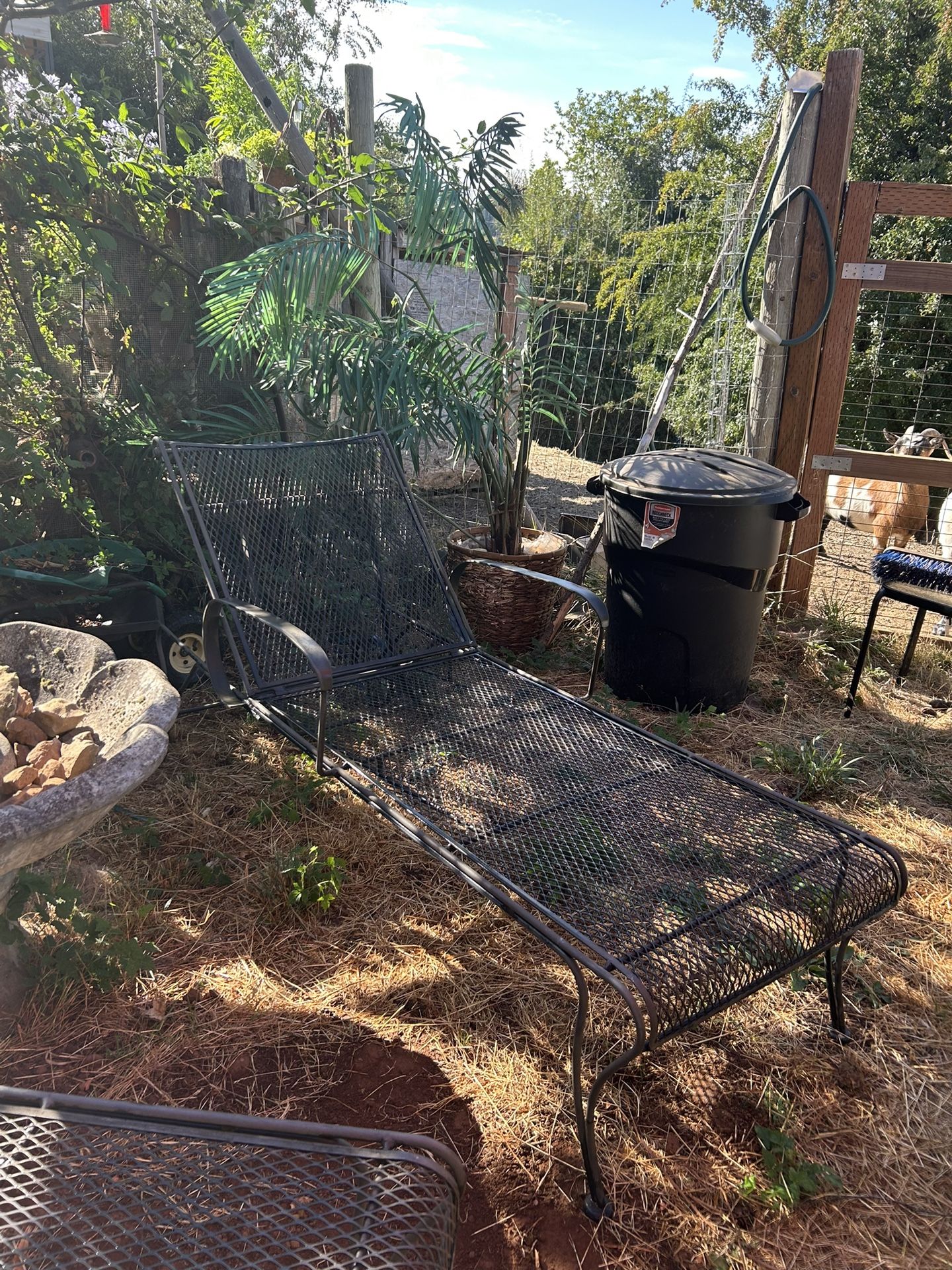 A Matching Pair Of Old Wrought Iron Patio Loungers!