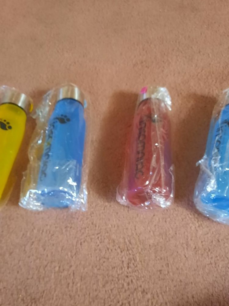 Water Bottle INSOMNIAC ! $12.00 each