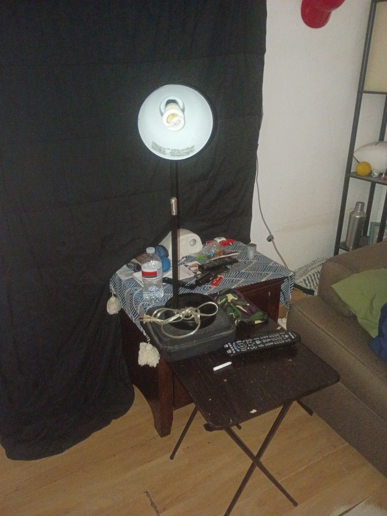 Light Plug In